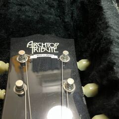 フルアコ　Archtop Tribute AT102　アーチトップトリビュート　の画像