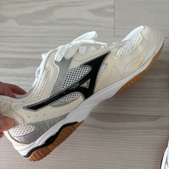屋内シューズ24センチの画像