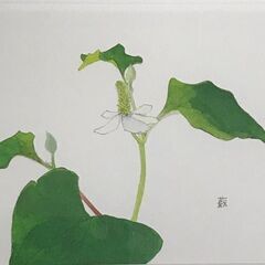 外山康雄 猿滑 蕺 夕菅 ダイヤモン・スクリーニング+シルクスクリーンの画像