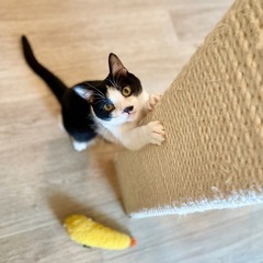 呼称 ちいたけ 本名は……