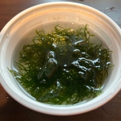 水草　ウィローモス　無農薬の画像