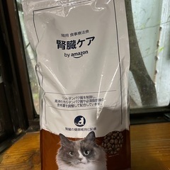 餌(腎臓の悪い猫ちゃん用)