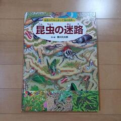 昆虫の迷路