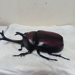 値下げ、特大カブトムシ＆ヒラタクワガタフィギィアの画像
