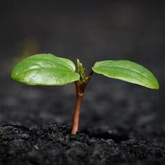 【残り２名】場所も時間も自由な人たちの、ゆるいつながり