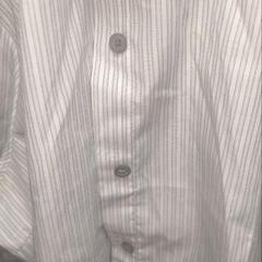 レディース　シャツの画像