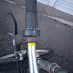 マウンテンキャットの画像