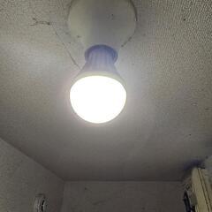 電球💡　中古　①　１つの画像