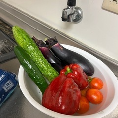 のんびりお話しできる人