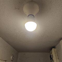 電球💡　中古　②　１つの画像