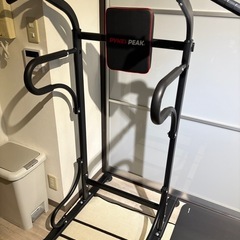 懸垂マシン PYKES PEAK　ぶら下がり健康器  