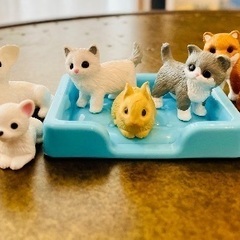 わんにゃんレントゲン！リカちゃん動物病院の画像