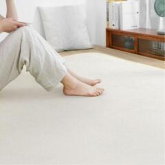 再2【1畳】 絨毯 カーペット ラグマット SOMANT 【アイ...