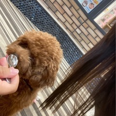 グループLINEしましょ☆