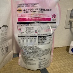【値下げしました】カインズ 洗濯洗剤＆柔軟剤（+DAISO詰め替え容器1つ）の画像
