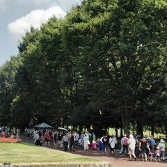 `25.8/17(日) 所沢航空記念公園　フリーマーケット