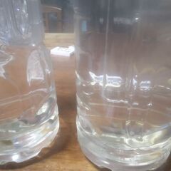 ボトル入りメダカ成魚15匹＋2匹2ボトル追加品出ししました。の画像