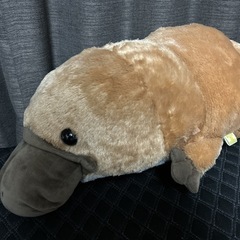 はしっこかものはし ぬいぐるみの画像