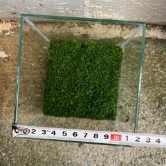 ②水槽の画像