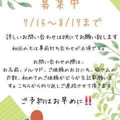 夏期キャットシッターฅ^•ω•^ฅ