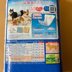 犬のオムツの画像