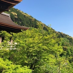 ウォーキングメンツ募集♪ 🚶