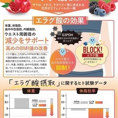 【新品･4袋】ダイエットサプリ カロリンピュアの画像