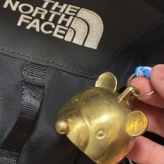 山登り