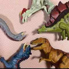 〔美品 〕コストコ 恐竜フィギュア 5体 セット　おまけ付きの画像