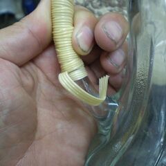 ガラス製　水差し　ピッチャー　の画像