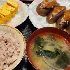 🌿「もうダイエットに疲れた…」そんなあなたへ🌿