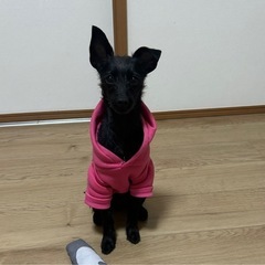 一才のヤンチャ女の子♡