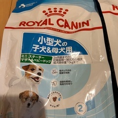 ドッグフードの画像