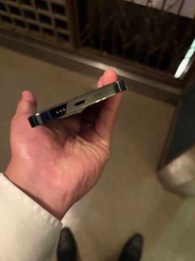 iPhone13Pro 256G