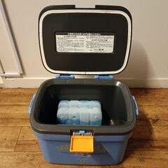 （ご予約済ki）(中古)SHINWA クーラーボックス 8Lの画像