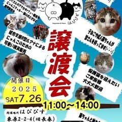 💐猫ちゃんの譲渡会💐