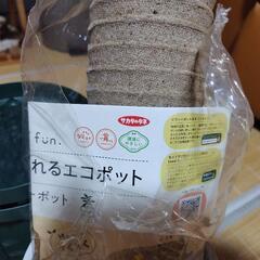 （お話中）鉢、受け皿色々セット（小～中）観葉植物等にの画像