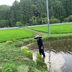農作業や動物の飼育など自然と触れ合う仕事です、の画像