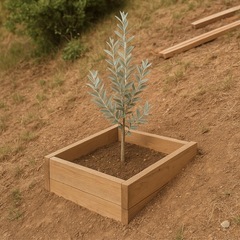 大型植物引き取らせてください