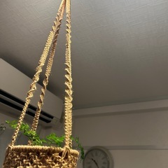 観葉植物　ハンギングの画像