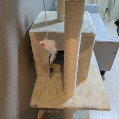 キャットタワー 中古 割と綺麗 高さ135cmの画像