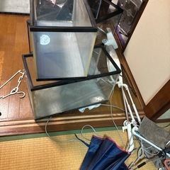 水槽の画像