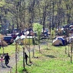 8月 9日 (土)  ～ 10日 (日) 新潟の銀山でキャンプしませんか ！！ - 友達