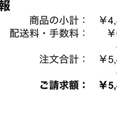 キャリーバックの画像