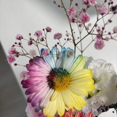 夏休み染色実験！お花を好きな色に染めてみようの画像