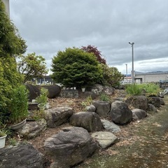 庭石の画像