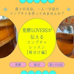 コンブチャ株分けレッスン モニターさんの画像