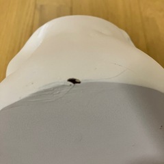 トランプ大統領石膏像の画像