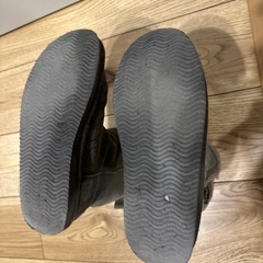 アメリカンイーグルの画像
