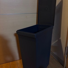 無印　ゴミ箱　45リットル　蓋が選べるダストボックス　　の画像
